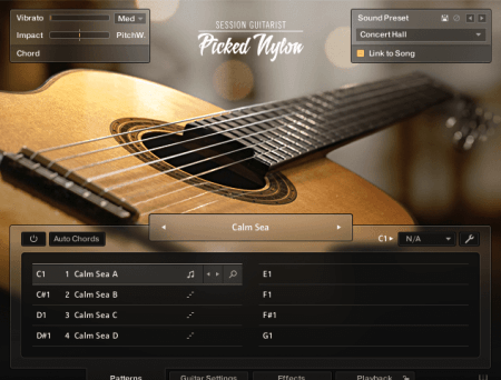 Native Instruments Session Guitarist Picked Nylon KONTAKT